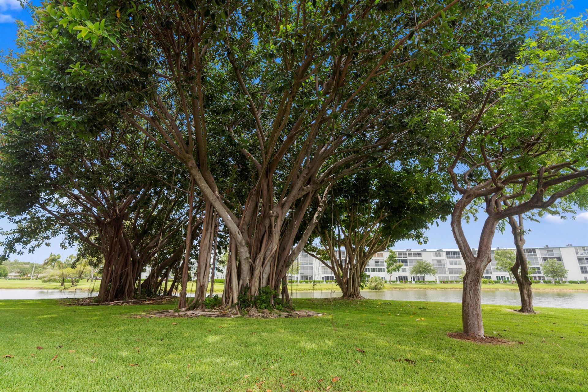 4054 Newcastle C, Boca Raton, FL 33434 Photo