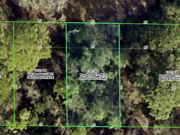 ROCK DUCK AVENUE, BROOKSVILLE, FL 34614