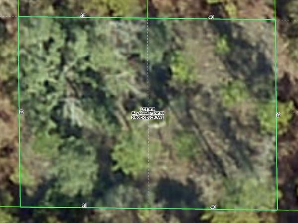 ROCK DUCK AVENUE, BROOKSVILLE, FL 34614