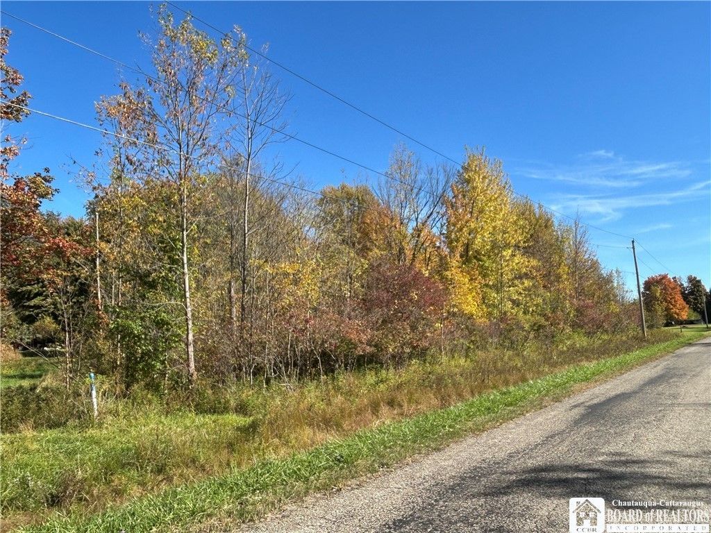 0 Gibbs, Forestville, NY 14062 Main Photo