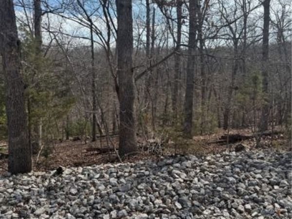 Lot 479 Parker Pt., Four Seasons, MO 65049