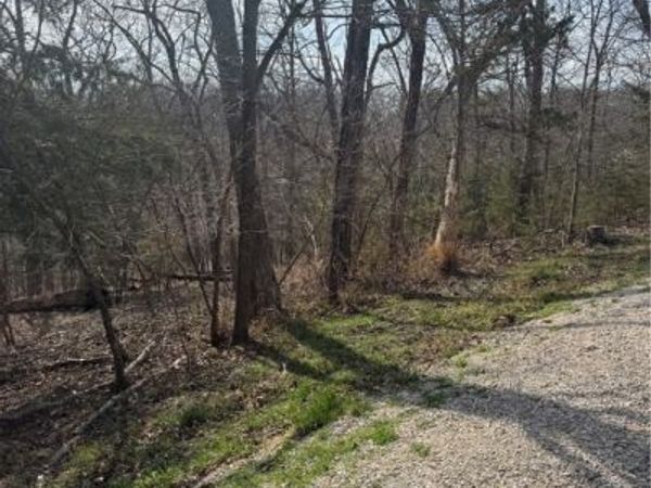 Lot 979 Bobcat, Four Seasons, MO 65049