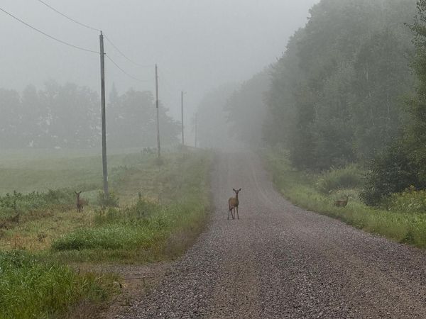 N2179 SCHALK ROAD, Ogema, WI 54459