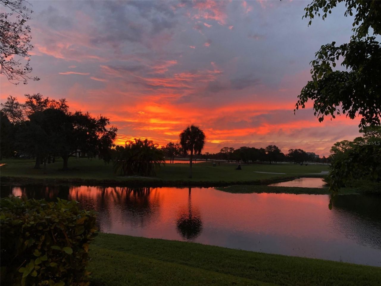 2253 Heron Circle, Clearwater, FL 33762 Photo