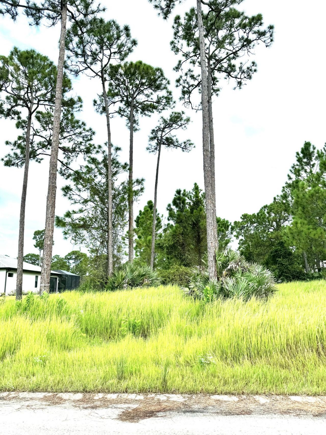 10615 Sugar Pine Drive, Fort Pierce, FL 34945 Photo
