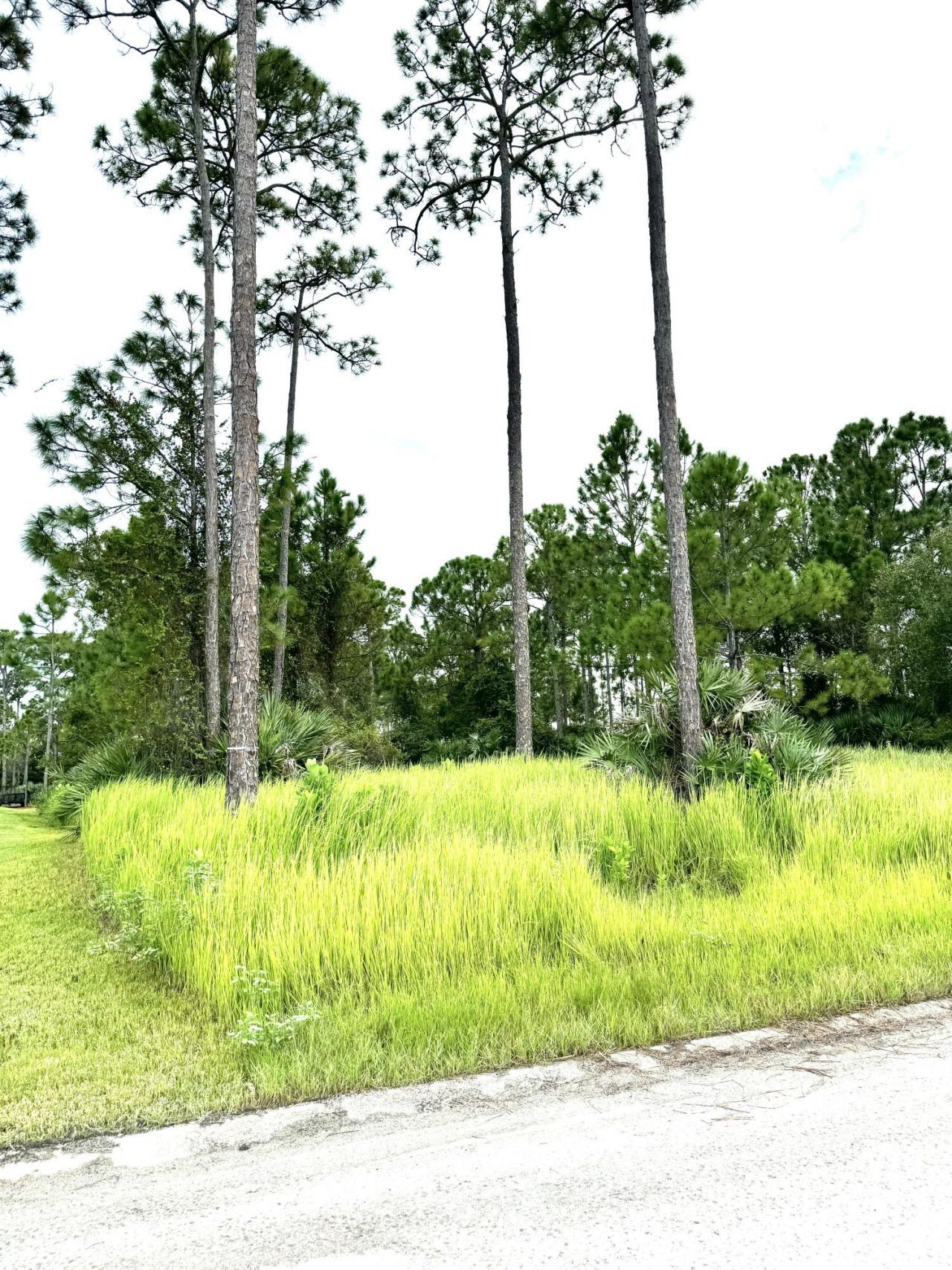 10615 Sugar Pine Drive, Fort Pierce, FL 34945 Photo