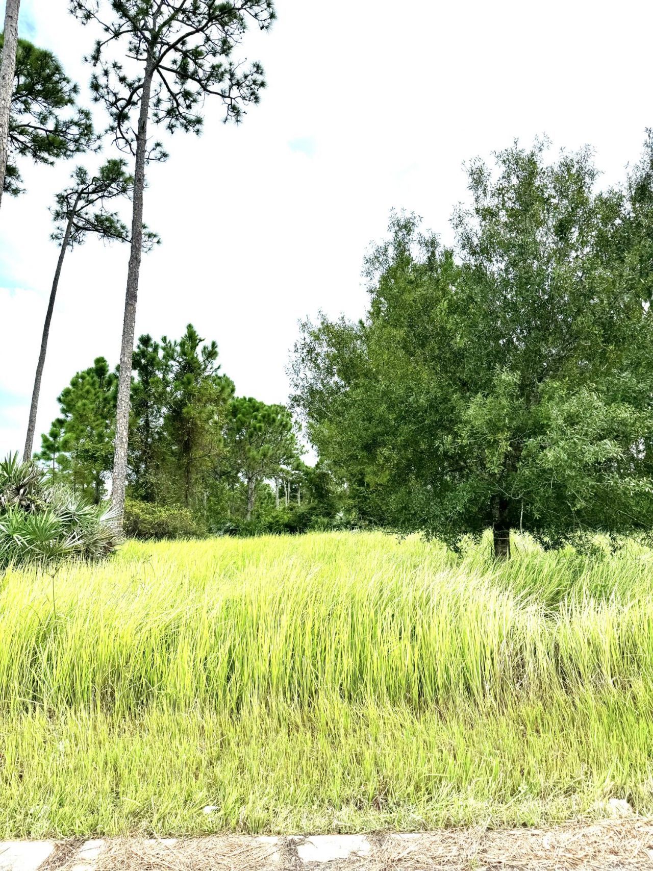 10615 Sugar Pine Drive, Fort Pierce, FL 34945 Photo