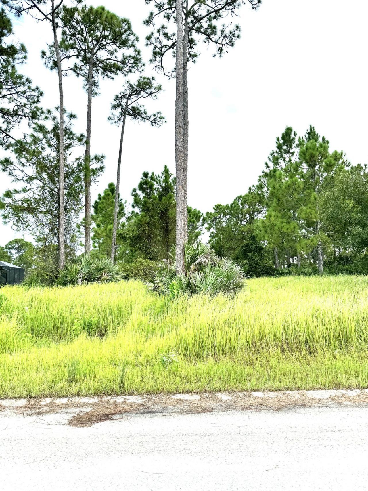 10615 Sugar Pine Drive, Fort Pierce, FL 34945 Photo