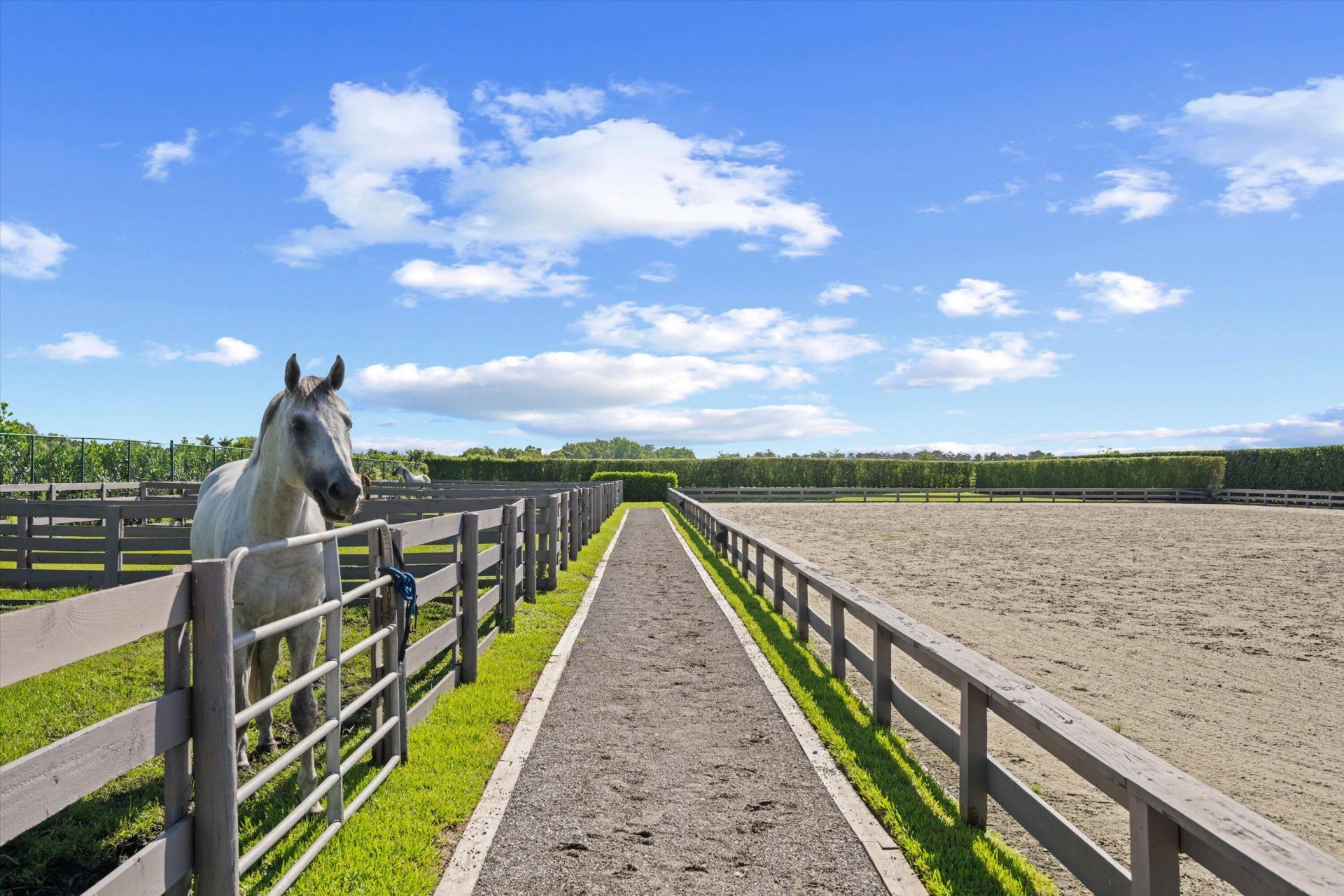 3508 Grand Prix Farms Drive, Wellington, FL 33414 Photo