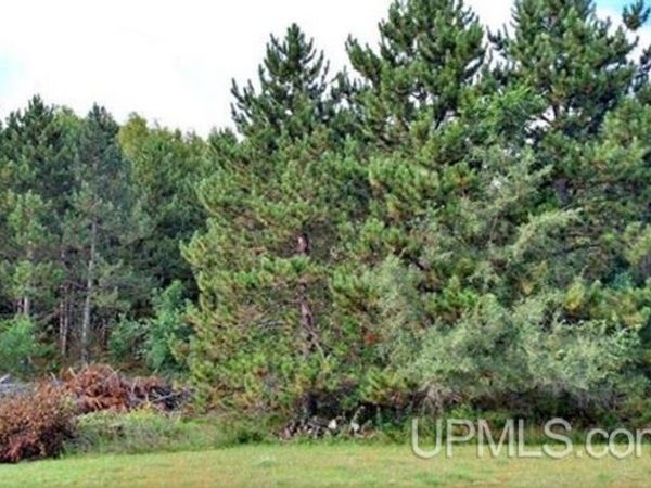 Lots 3 & 4 Sundance Drive, Norway, MI 49870
