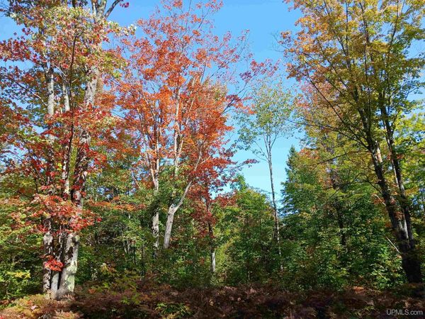 TBD Baltic Onkalos Corner Road, Adams Twp, MI 49963