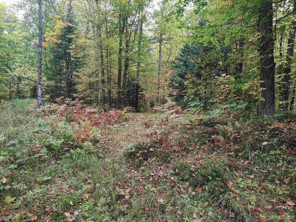 TBD S Laird Road, Laird Twp, MI 49958