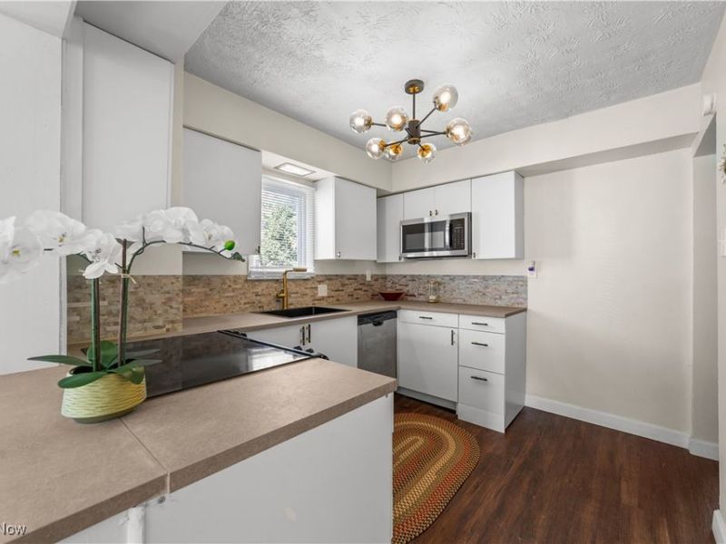 3525 Raymont Road, Cleveland, OH 44118 Photo 9