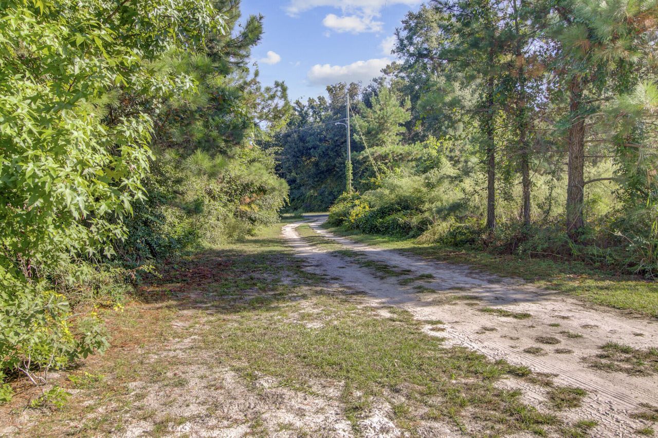 442 Rhode Drive Photo 38