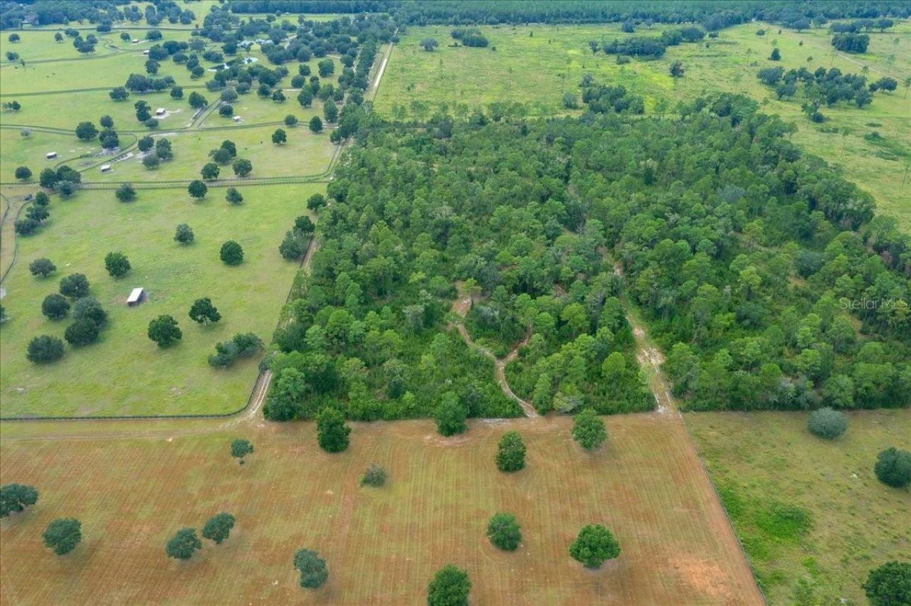 0 NW 150th Avenue, Ocala, FL 34482 Photo