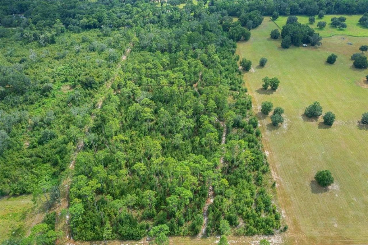0 NW 150th Avenue, Ocala, FL 34482 Photo