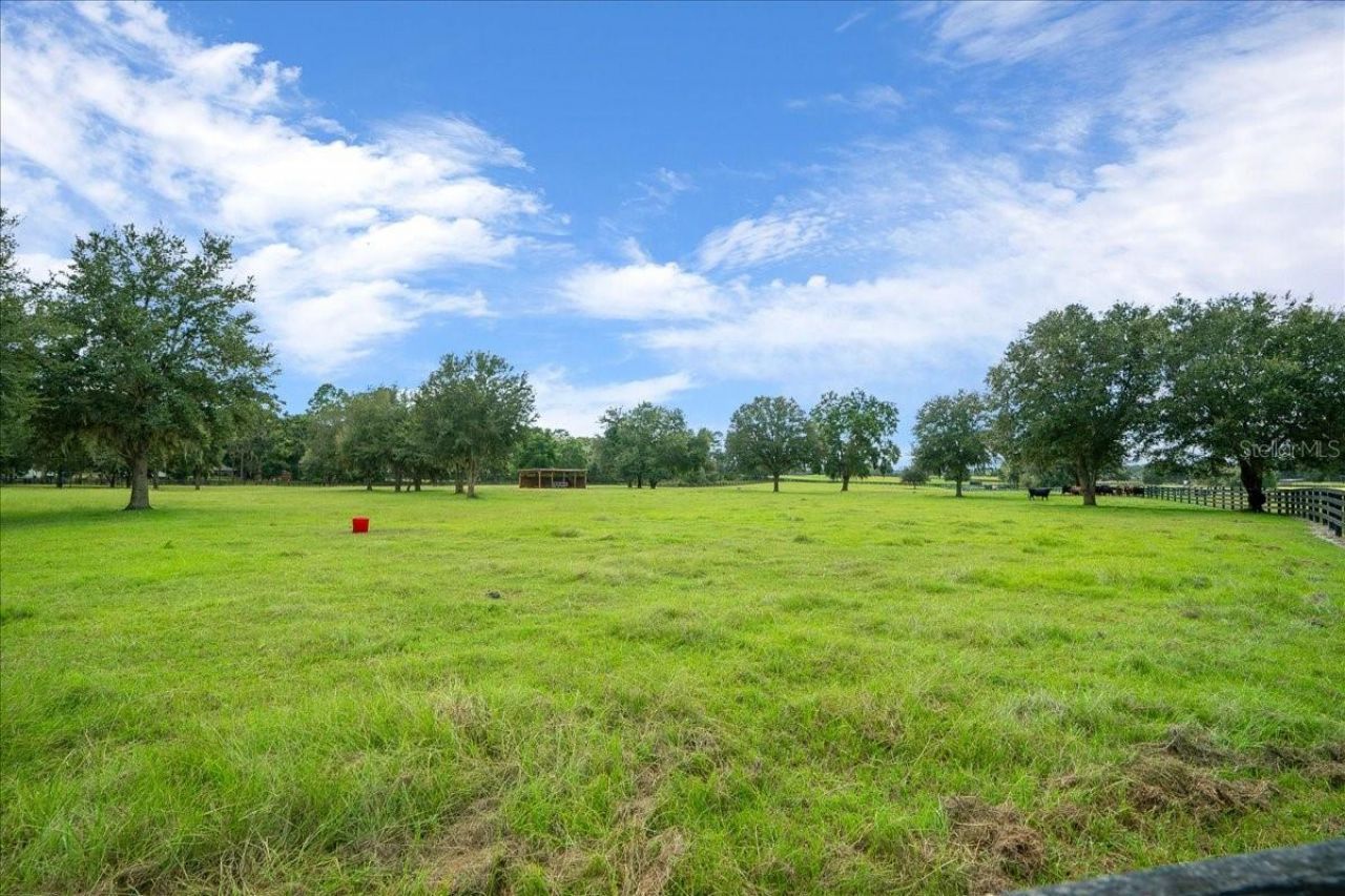 0 NW 150th Avenue, Ocala, FL 34482 Photo