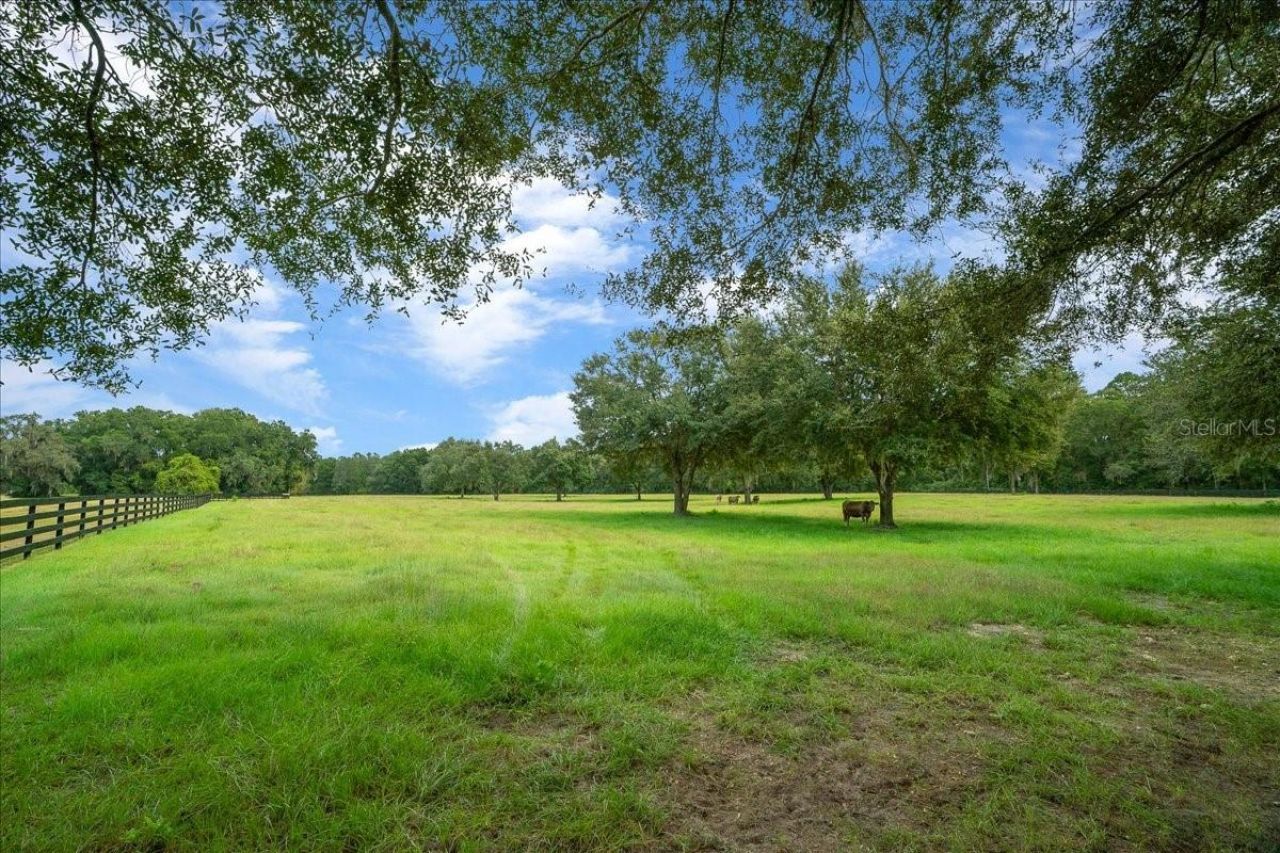 0 NW 150th Avenue, Ocala, FL 34482 Photo