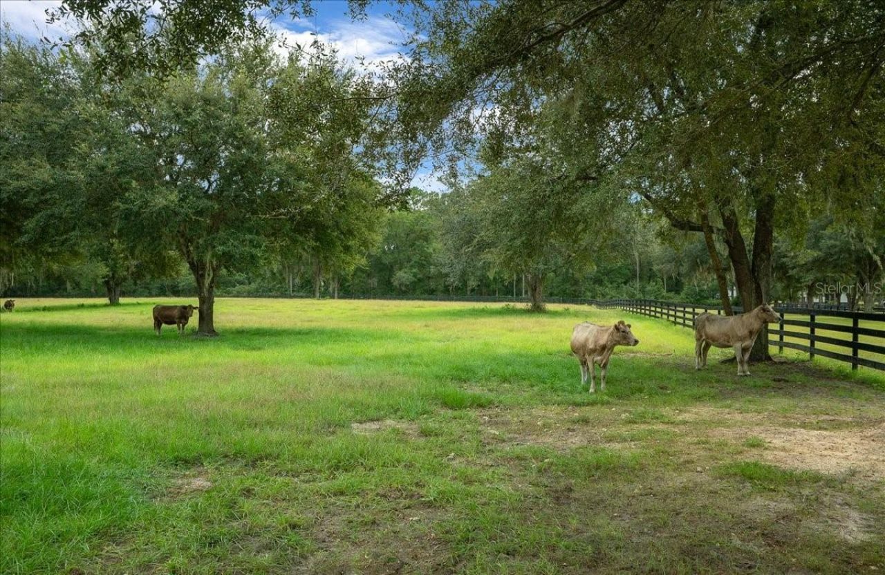 0 NW 150th Avenue, Ocala, FL 34482 Photo