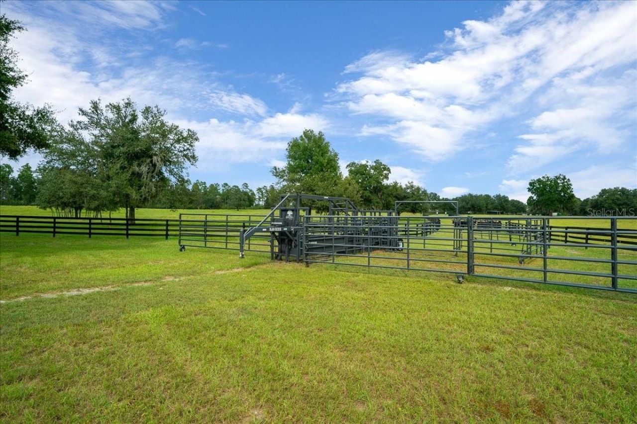 0 NW 150th Avenue, Ocala, FL 34482 Photo