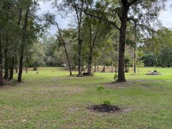 0 SKIPPER Road, Middleburg, FL 32068