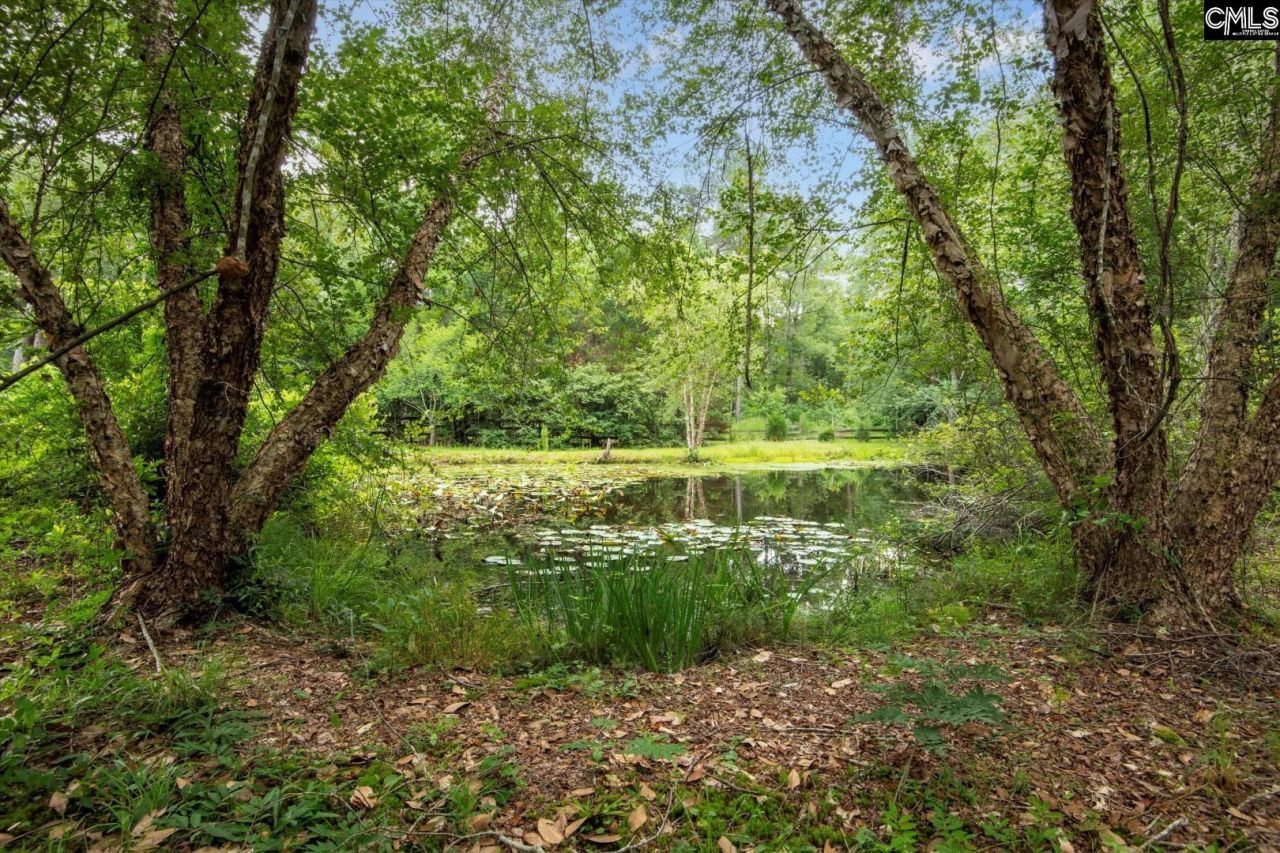 0 Rabon Circle Photo 8