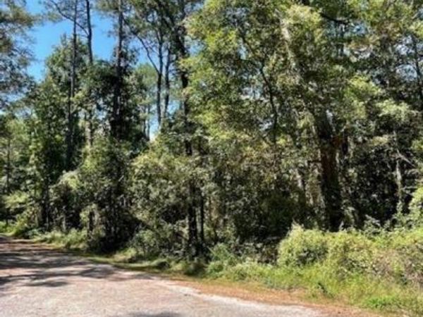 Lot 41 Caster Street, Mobile, AL 36605