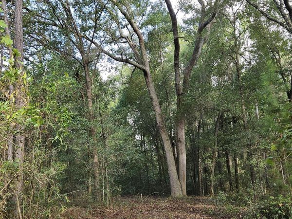 136 LEMON Street, Pomona Park, FL 32181