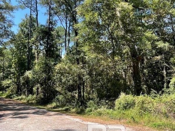 Lot 41 Caster Street, Mobile, AL 36605