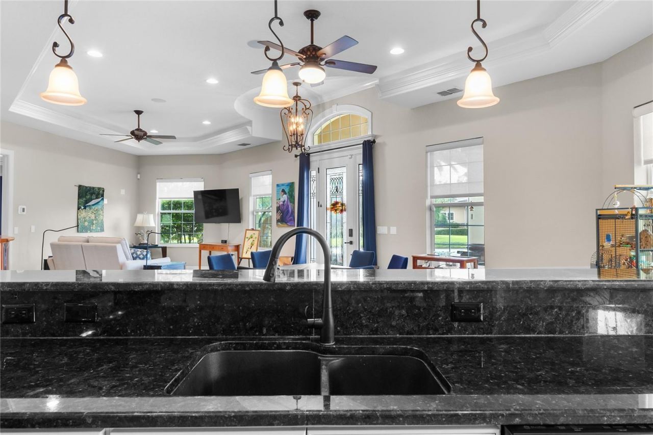 398 Nolane Lane, Polk City, FL 33868 Photo