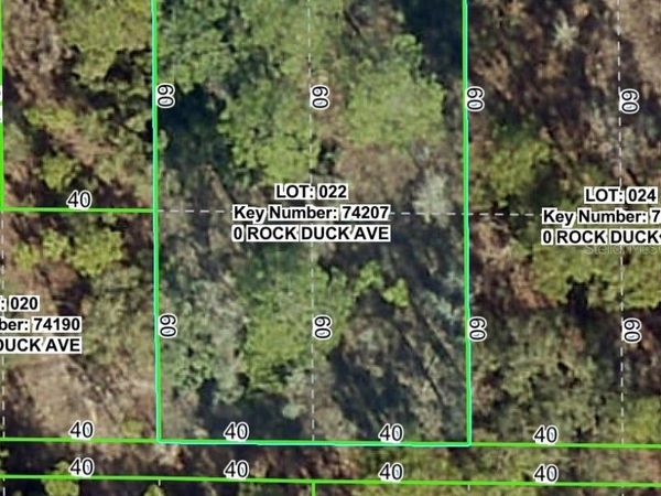 ROCK DUCK AVENUE, BROOKSVILLE, FL 34614