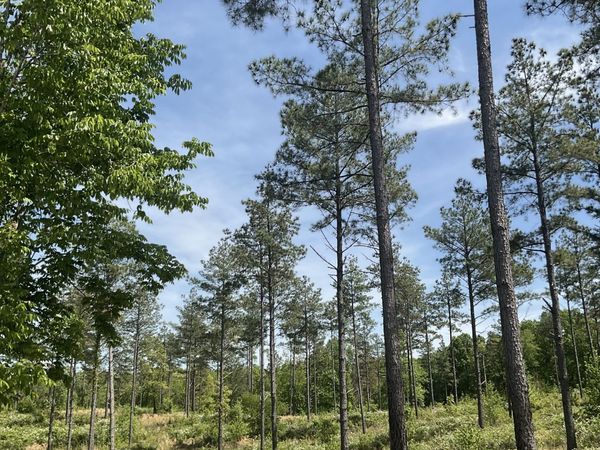 0 Saddleback Drive, Dover, TN 37058