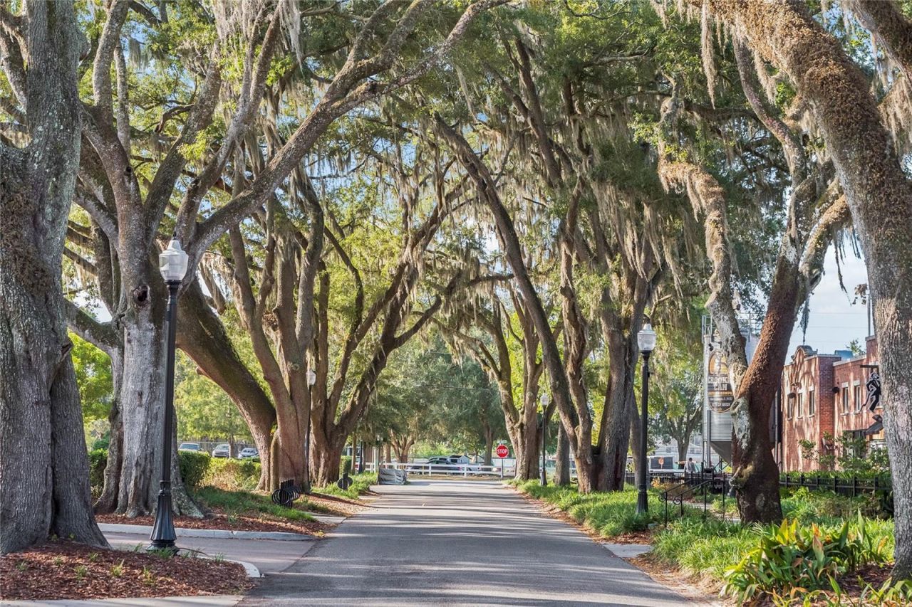 2606 Bobcat Chase Boulevard, Oakland, FL 34787 Photo