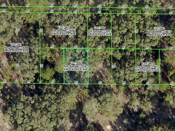 ROCK DUCK AVENUE, BROOKSVILLE, FL 34614