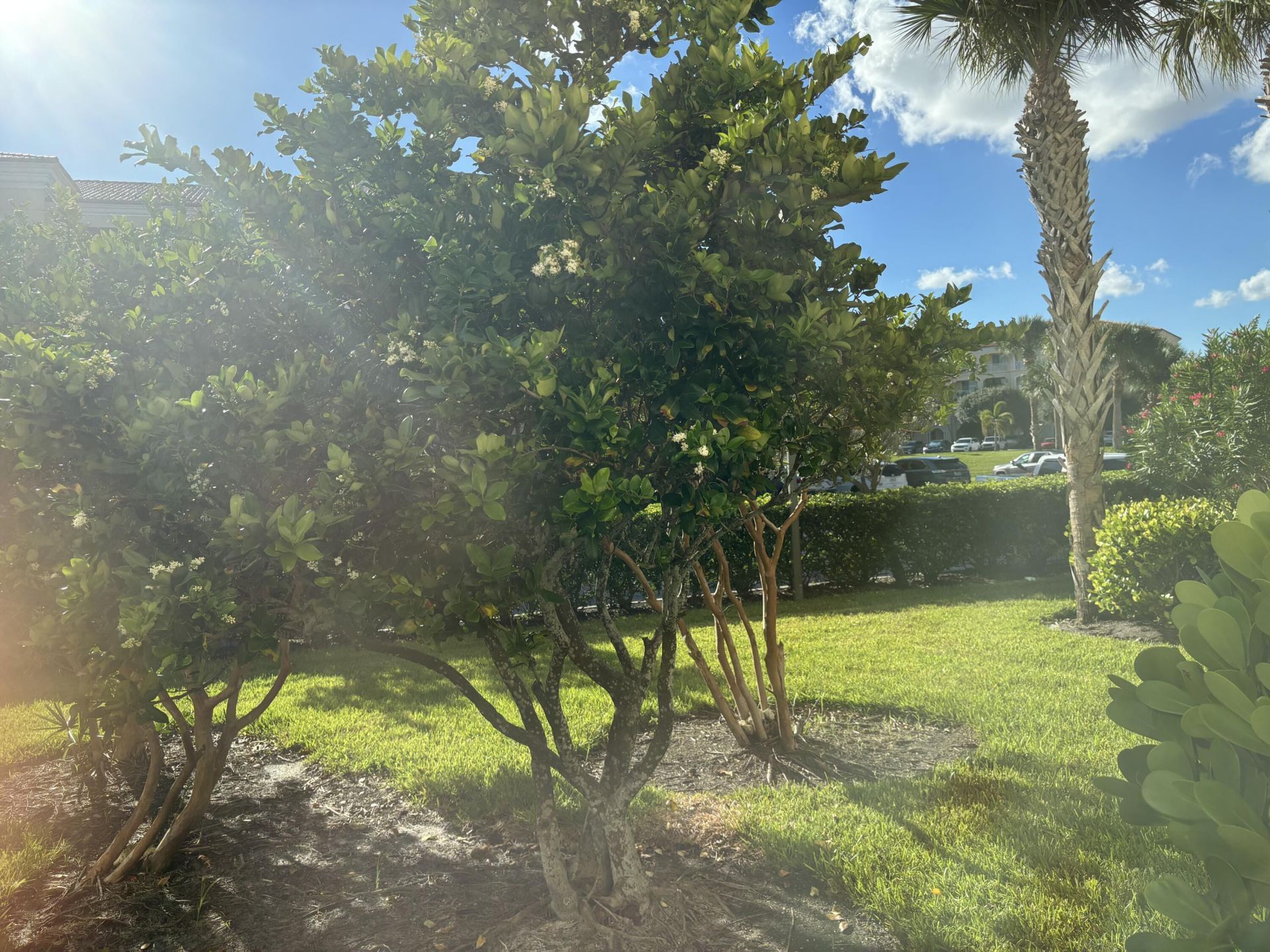 37 Harbour Isle Drive E, Unit 101, Fort Pierce, FL 34949 Photo