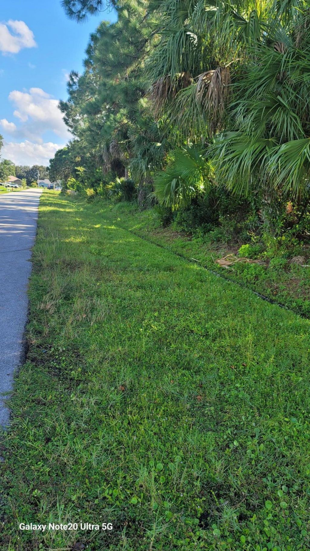 3832 SW Janiga Street, Port Saint Lucie, FL 34953 Photo