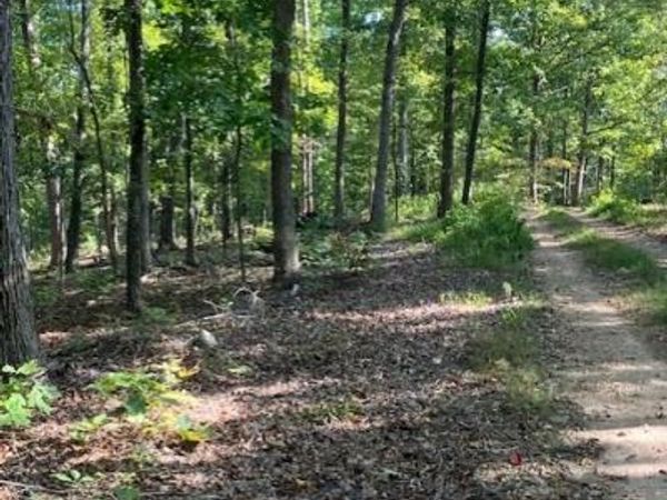 176 Madison CR 410, Fredericktown, MO 63645