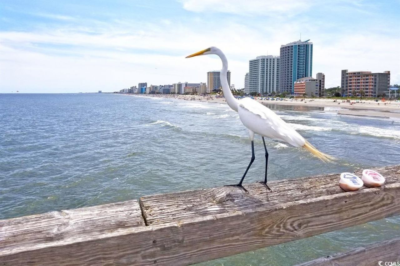 107 S Ocean Blvd. Photo 44