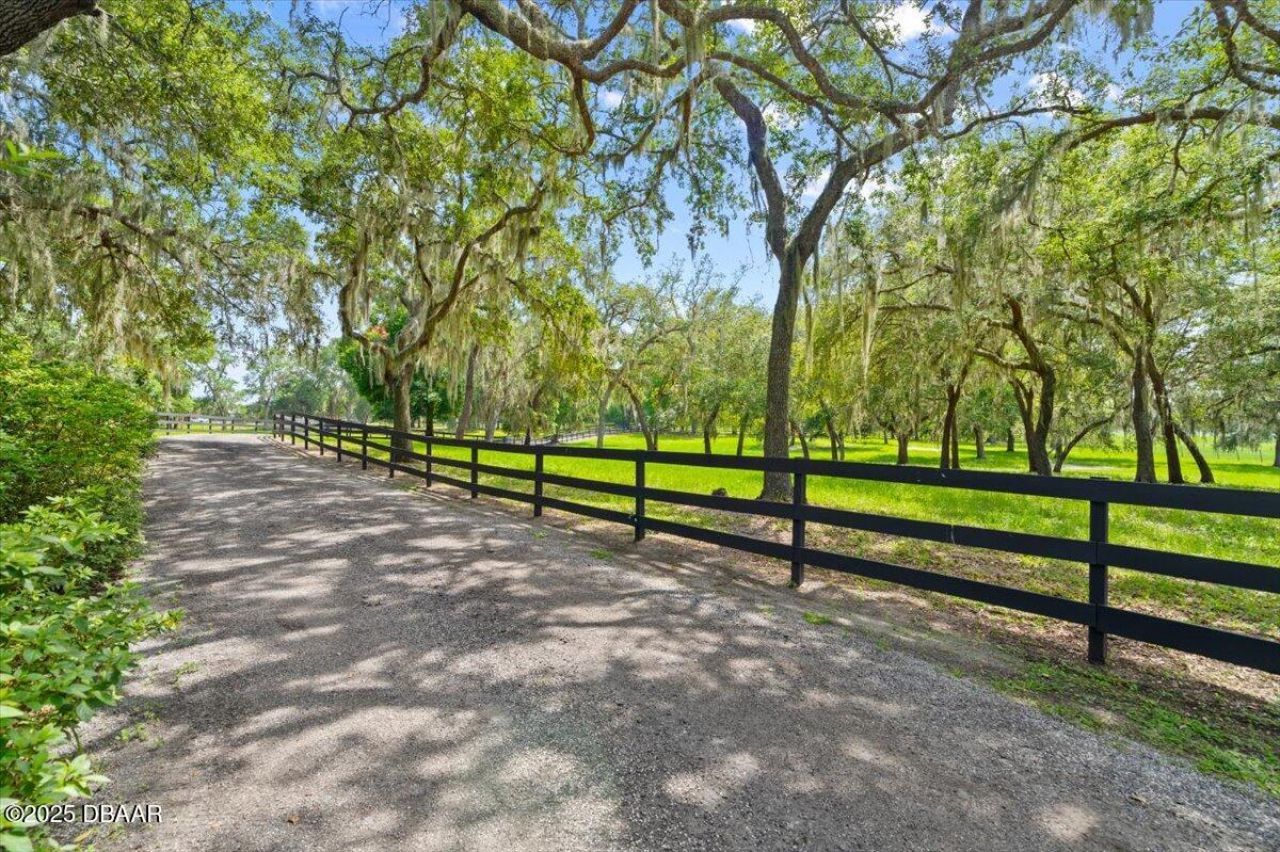 4885 Sr 11, De Leon Springs, FL 32130 Photo