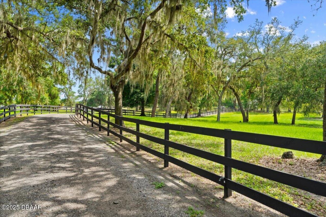 4885 Sr 11, De Leon Springs, FL 32130 Photo