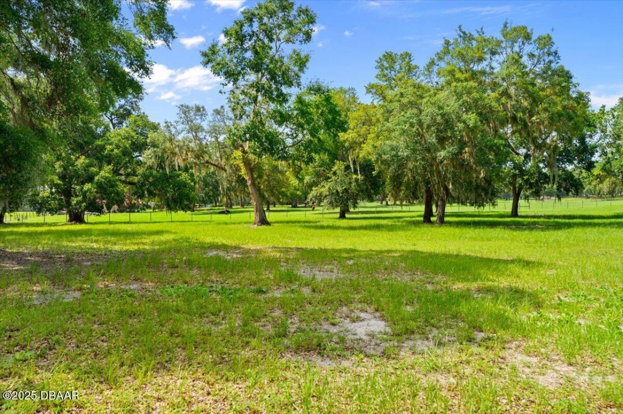 4885 Sr 11, De Leon Springs, FL 32130 Photo