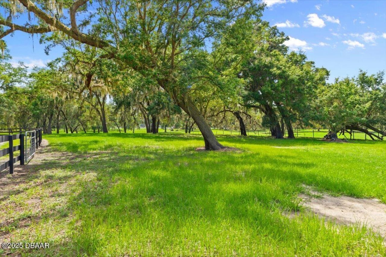 4885 Sr 11, De Leon Springs, FL 32130 Photo