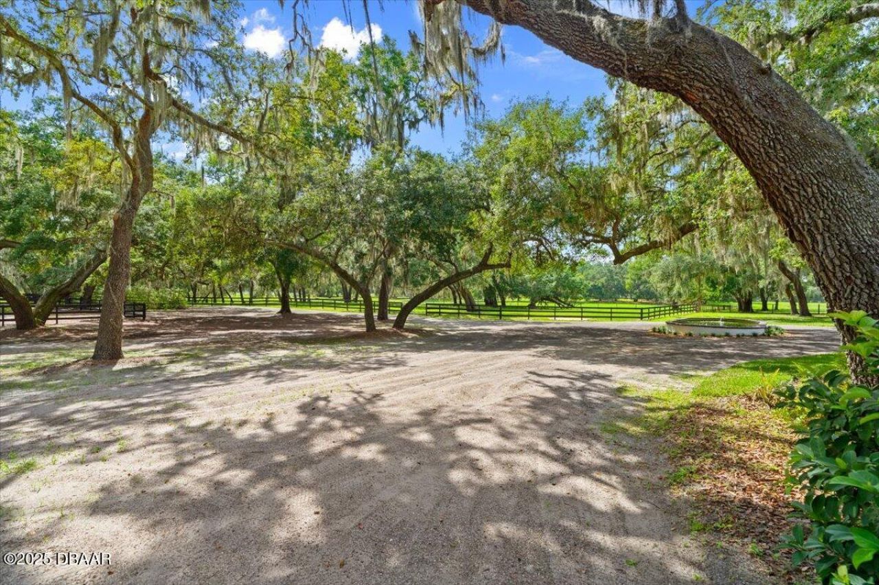 4885 Sr 11, De Leon Springs, FL 32130 Photo