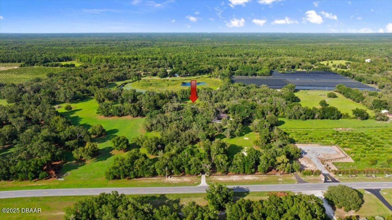4885 Sr 11, De Leon Springs, FL 32130 Photo