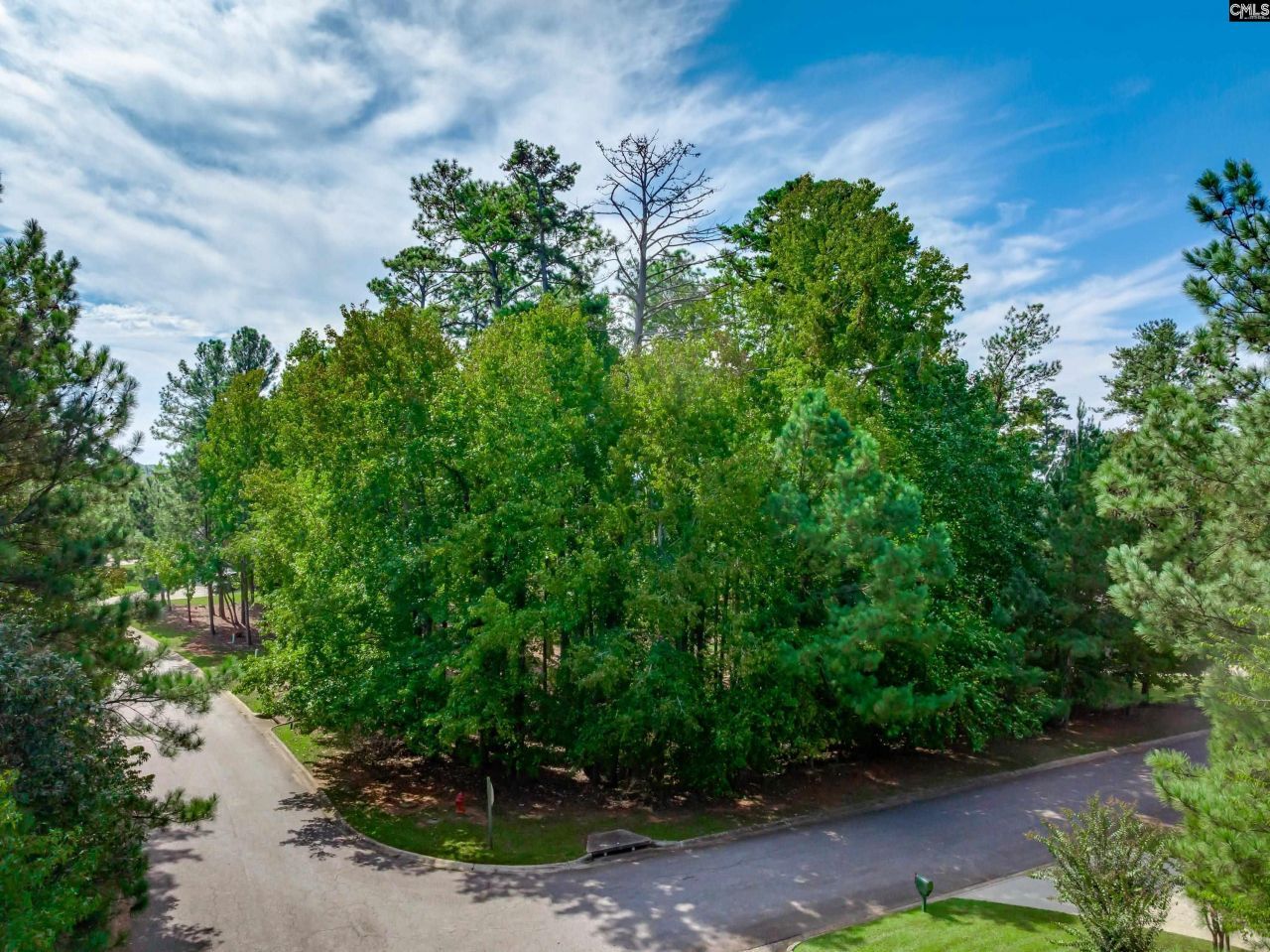 338 Lake Estate Drive Photo 10