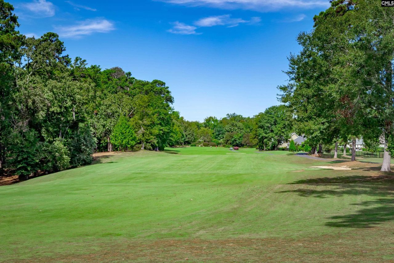 338 Lake Estate Drive Photo 34