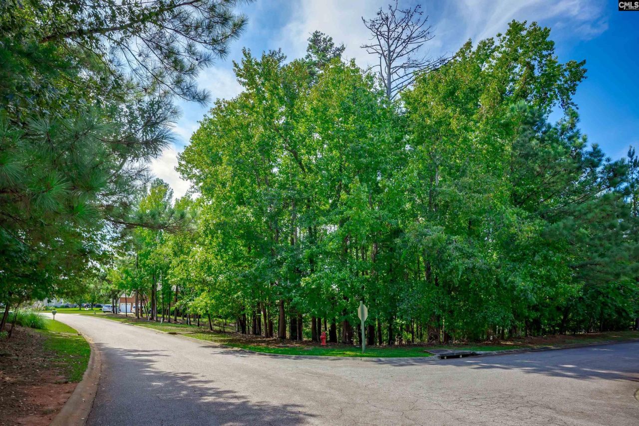 338 Lake Estate Drive Photo 4