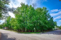 338 Lake Estate Drive photo 4