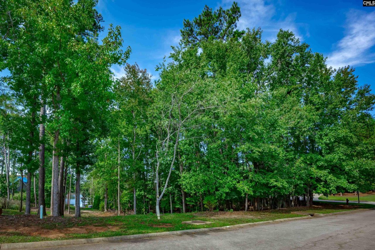 338 Lake Estate Drive Photo 8