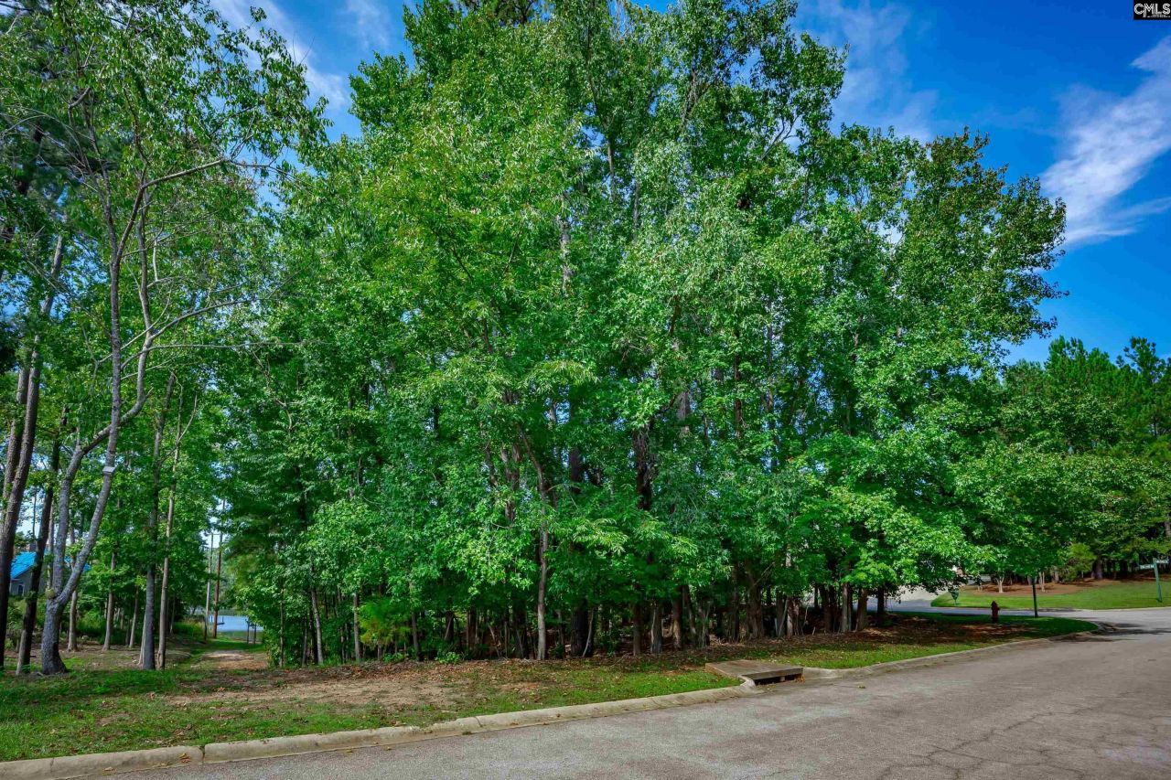 338 Lake Estate Drive Photo 9